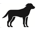 image2.png
