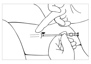 image12.png