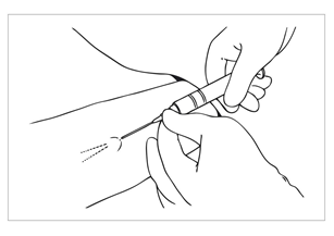image5.png
