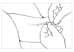 image13.png