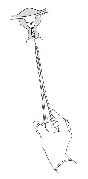 image16.png