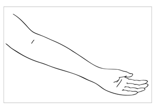 image2.png
