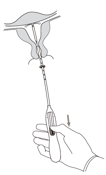 image15.png
