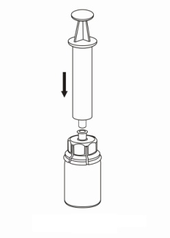 image7.jpeg