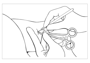 image19.png