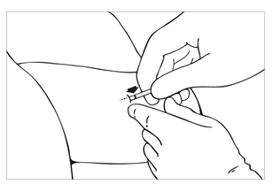 image8.png