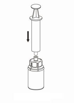 image7.jpeg