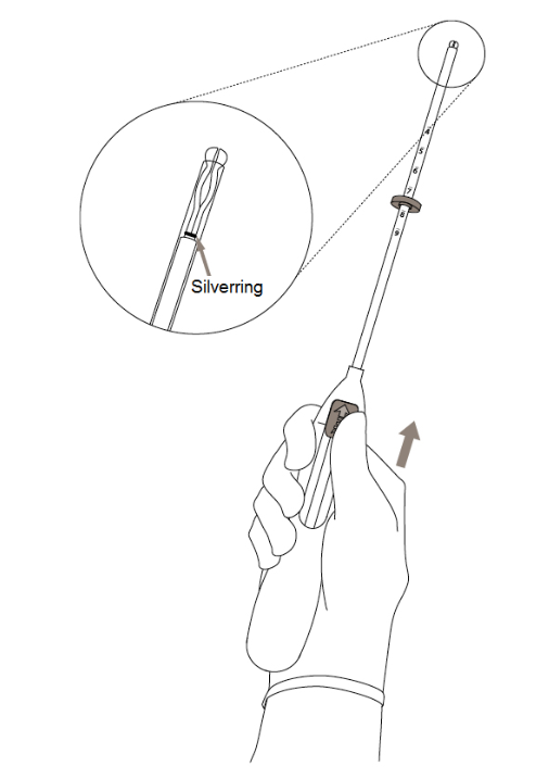 image10.png