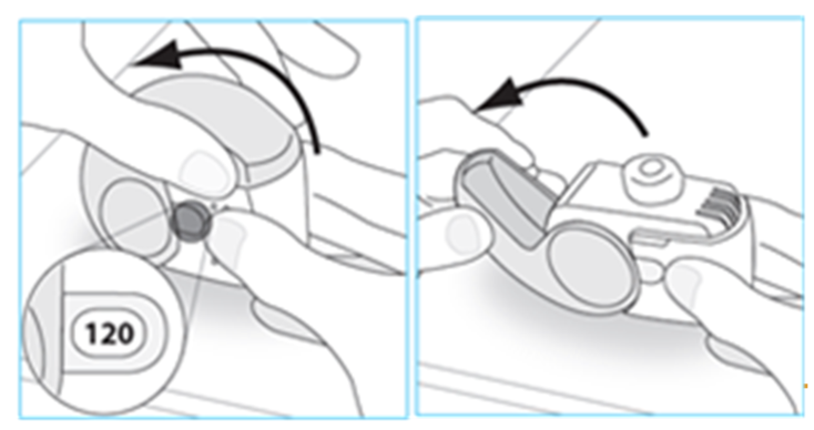 image6.png