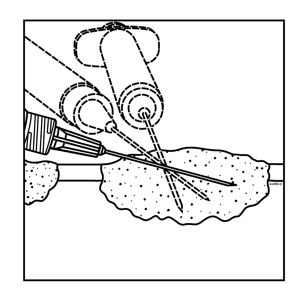 image1.jpeg