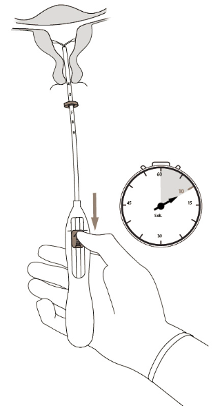 image13.png