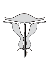 image14.png