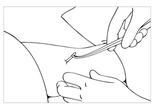 image21.png