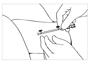 image7.png