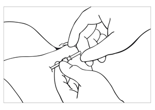 image9.png