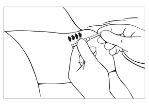image11.png