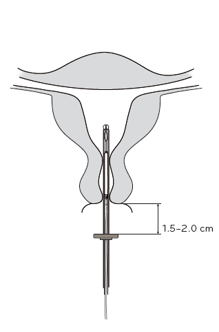image12.png