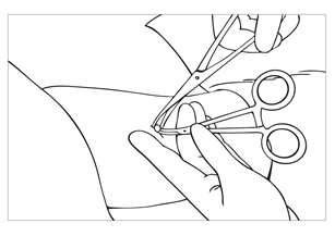 image20.png
