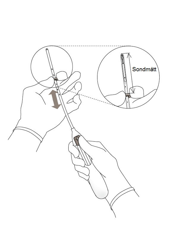 image11.png